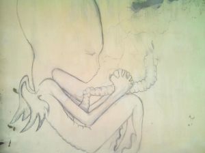 দেয়াল চিত্র, অজানা শিল্পী আলোকবাজি: লেখক