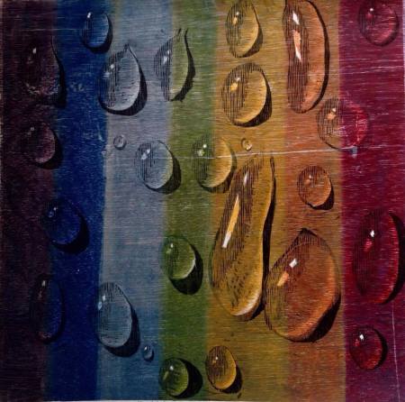 11709516_10206702807626785_368018449239207110_n