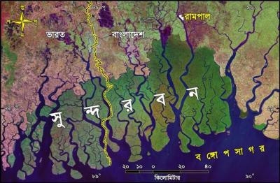 জাতীয় কমিটির দাবী:&nbsp;গণভোট